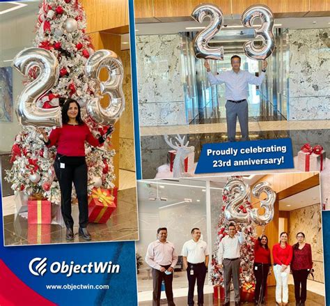 objectwin technology|objectwin technology linkedin.